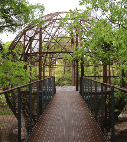 Pease Park