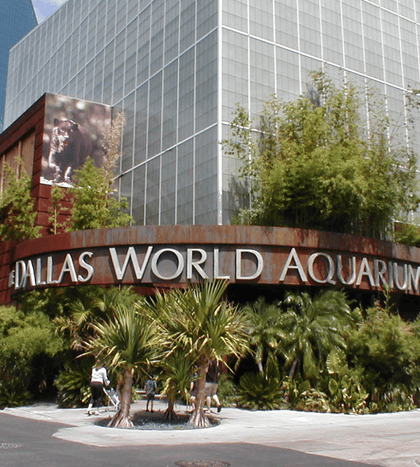 The Dallas World Aquarium