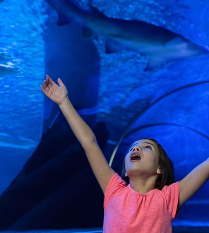 SEA LIFE San Antonio
