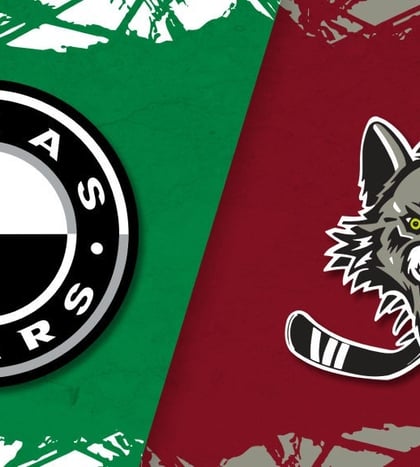 Texas Stars vs Chicago Wolves in Austin