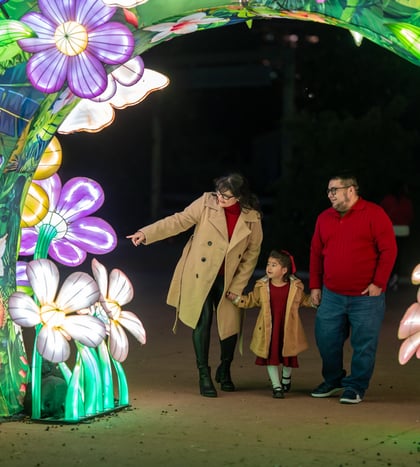 Zoo Lights in Houston