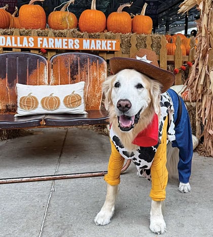 Howl-O-Ween at Dallas Farmers Market in Dallas