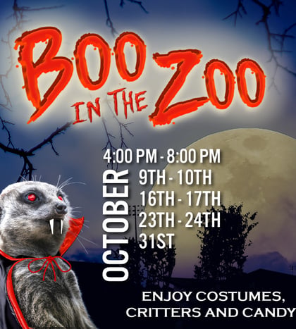 Boo in the Zoo