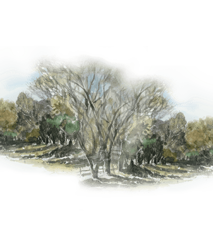 Cibolo Nature Center in Boerne