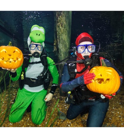 Underwater Pumpkin Carving Show in Nashville