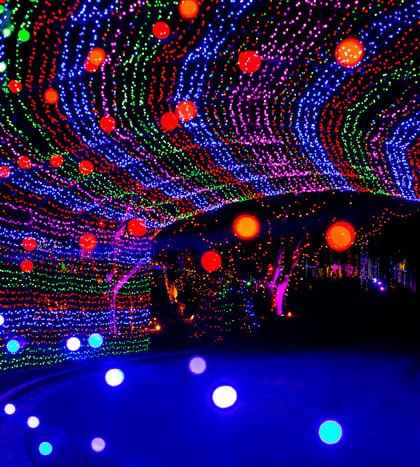 Austin Trail of Lights 2026