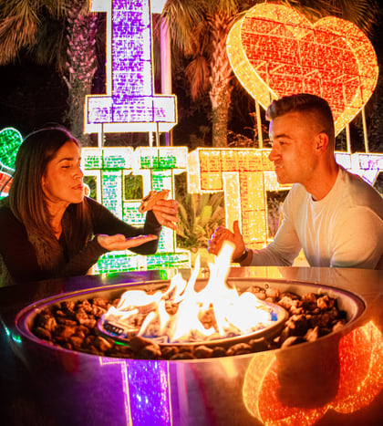 Wine Fest at Zoo Lights in Houston