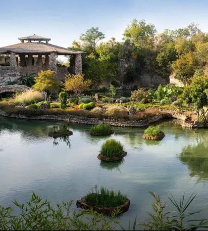 Japanese Tea Garden
