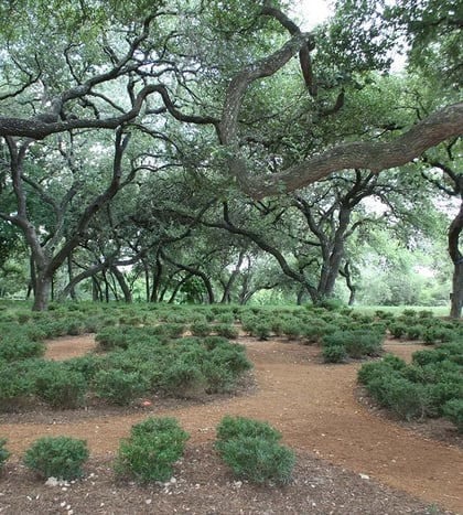 Denman Estate Park