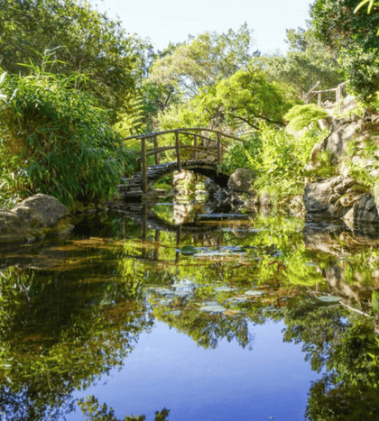 Zilker Botanical Garden