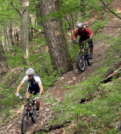 Harry S. Moss Park Mountain Bike Trail