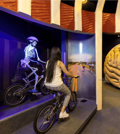 The Health Museum