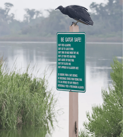 Armand Bayou Nature Center