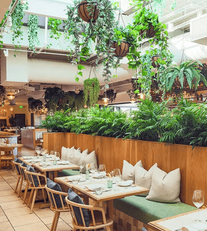 Terra at Eataly Dallas