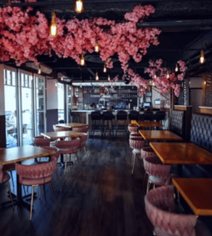 Sky Blossom Rooftop Bistro & Bar