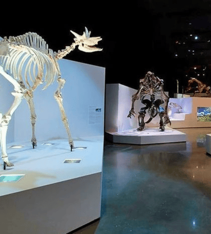 Houston Museum of Natural Science