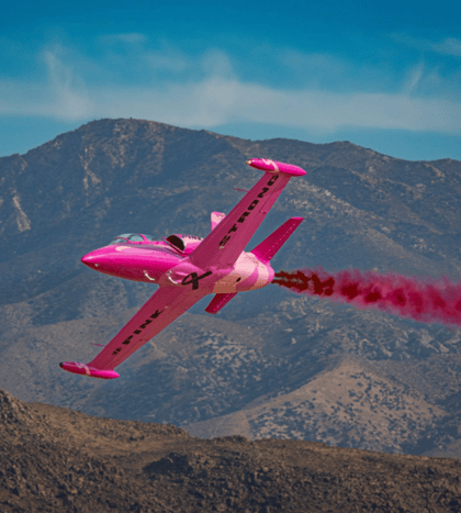 Wings Over Houston Airshow 2026