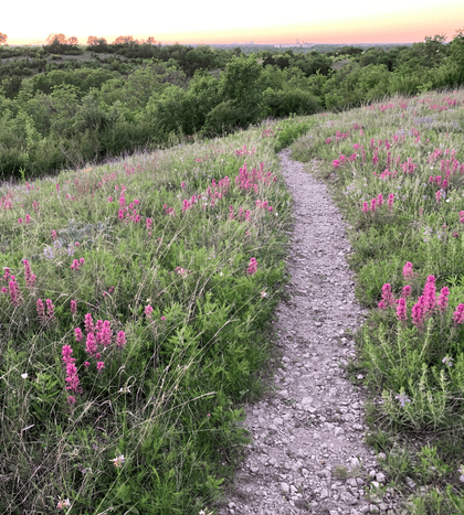 Tandy Hills Natural Area