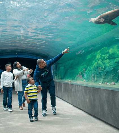 Houston Zoo