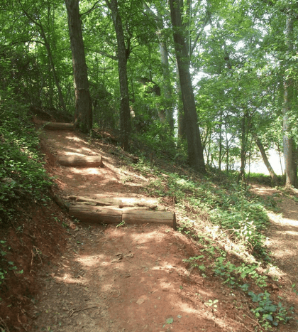 Gateway Park Mountain Bike Trails