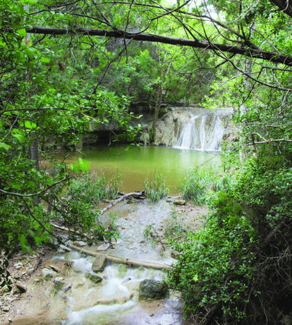 Wild Basin Wilderness Preserve