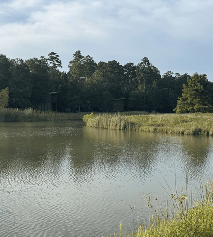 Lake Houston Wilderness Park